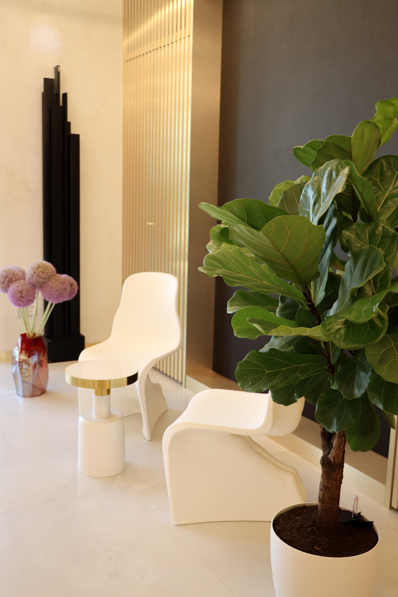 VDERM — waiting chairs and planting