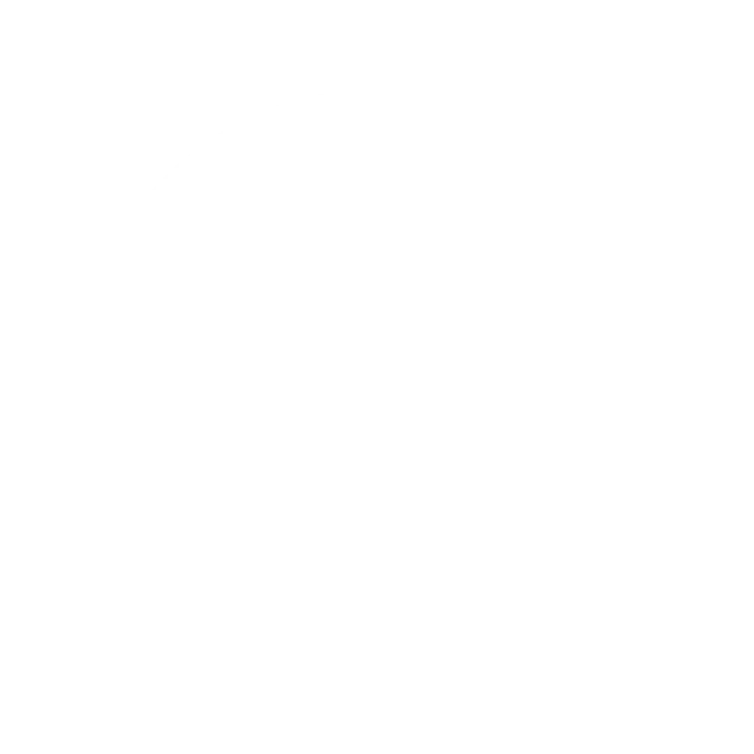 A black and white circle with a white line through it.