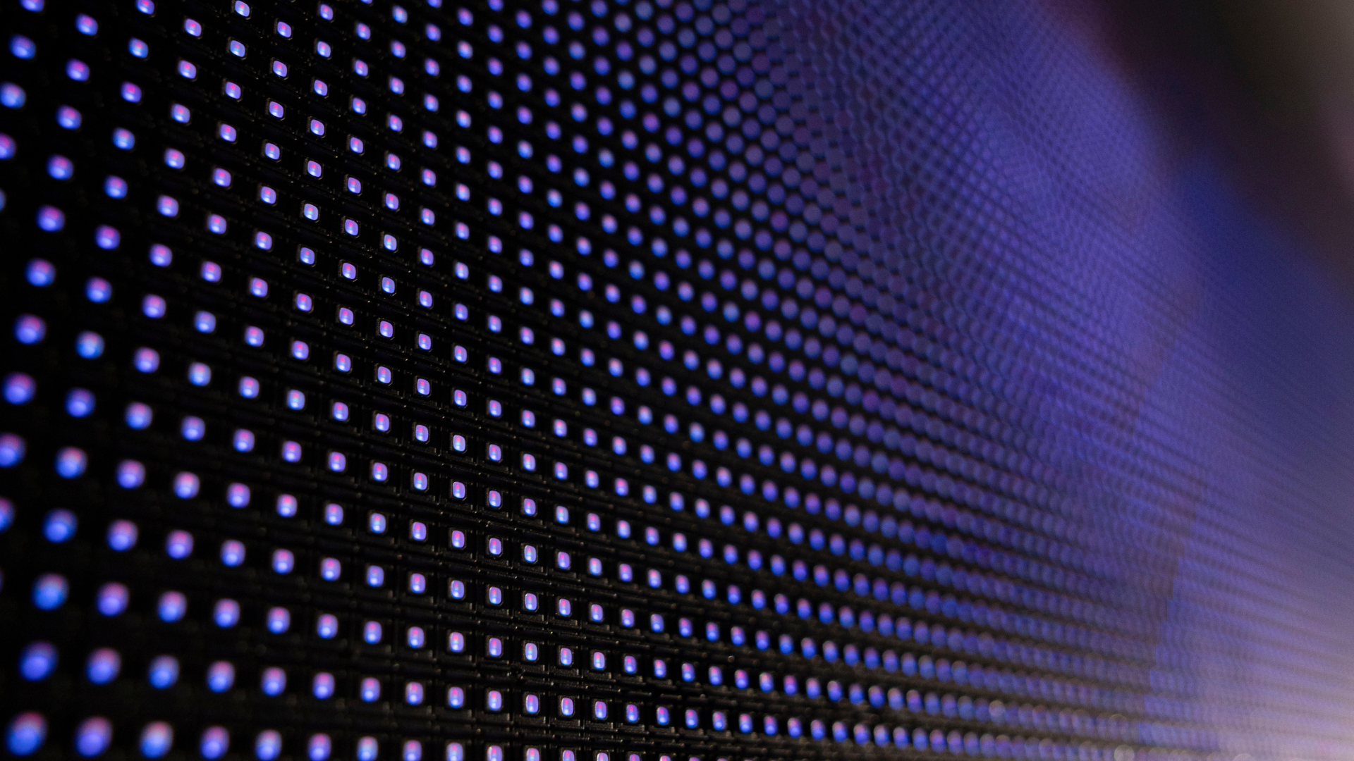 Close-up of blue and purple LED lights arranged in a grid pattern on a black panel.