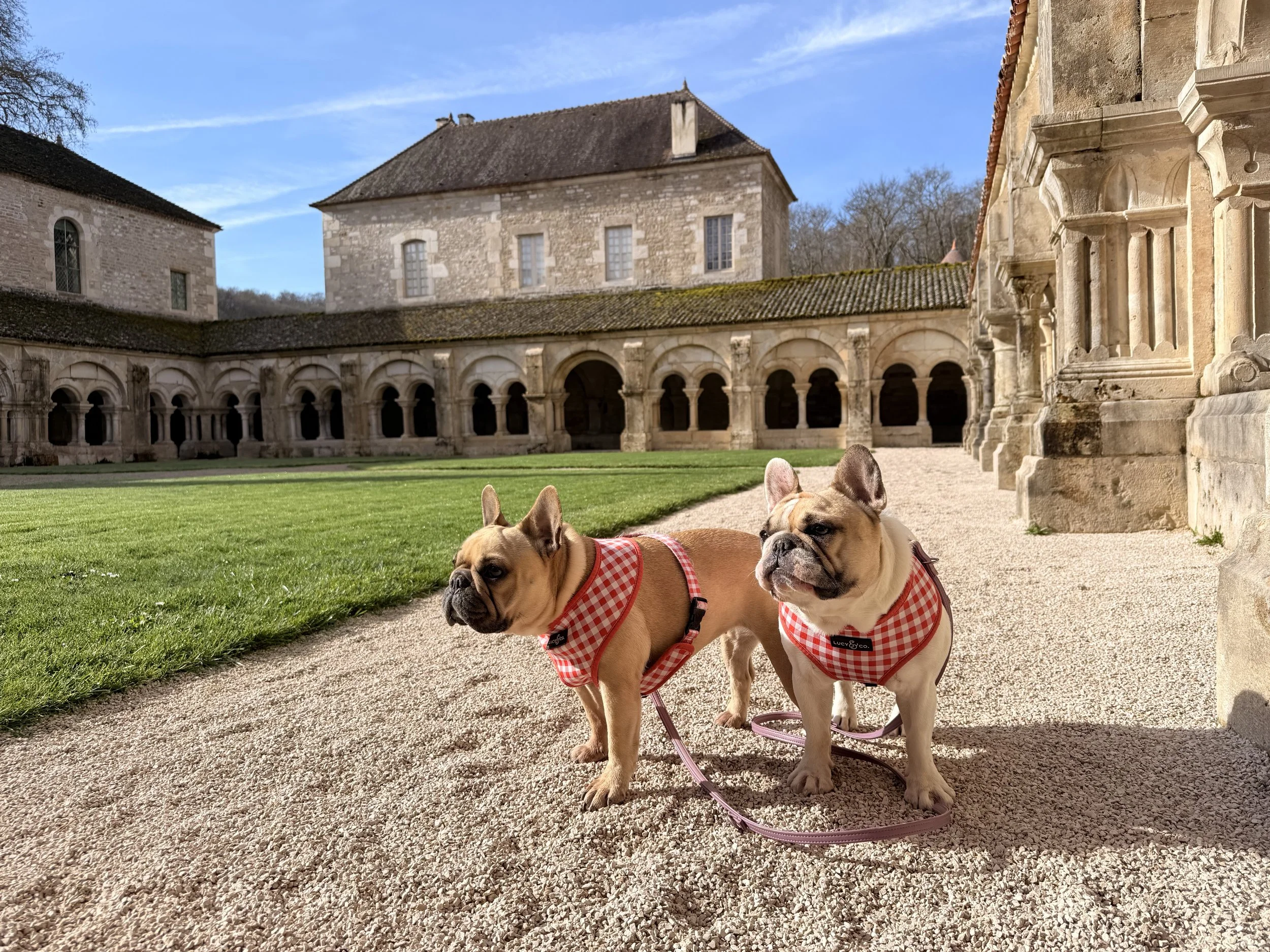   I still can’t believe the entire place is dog-friendly! The gardens are stunning and it was so special to share this experience with the girls. I’d love to come back when the roses are blooming.   
