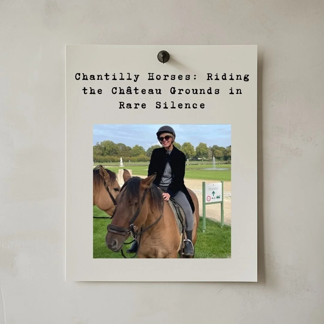 Chantilly Horses: Riding the Château Grounds in Rare Silence