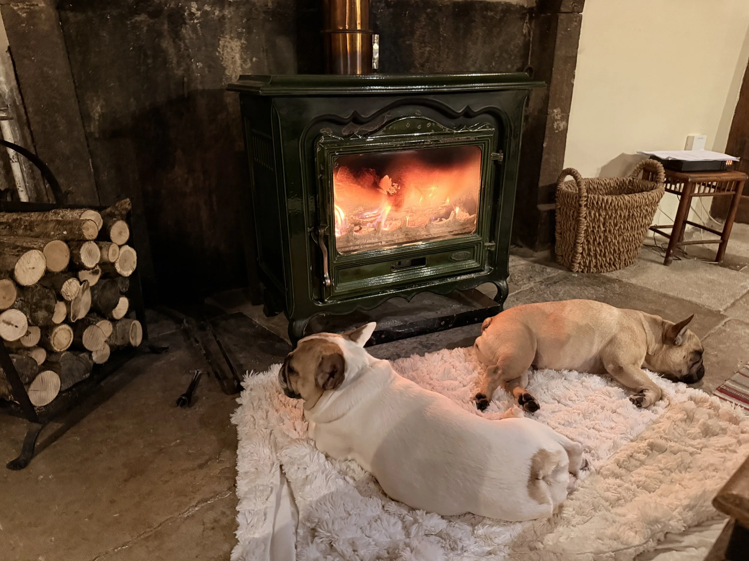   The girls and I enjoyed the cozy fireplace at night when the temps dropped.  