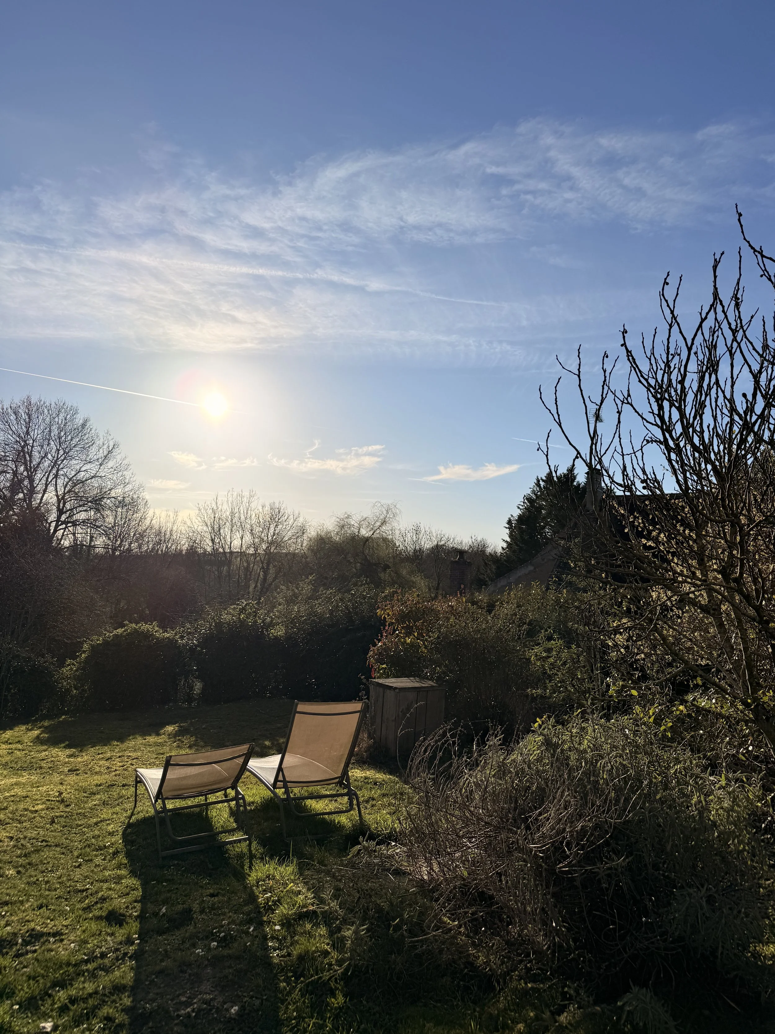   The enclosed garden was quite generous, with two loungers and a outdoor dining table. It was plenty of space for two small dogs or one large. It receives full sun, especially in the afternoon.   