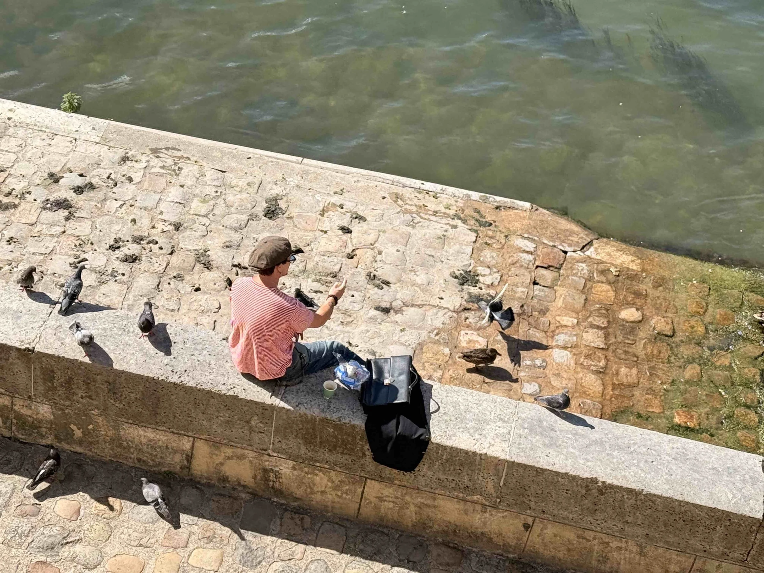  Feeding pigeons on the river Seine, Ile Saint Louis, Paris. 