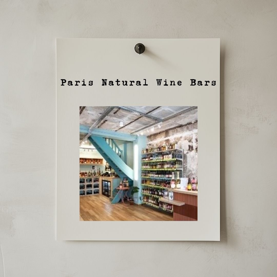 Terroirs d'Avenir : Paris Natural Wine Bars & Sustainable Dining Experiences