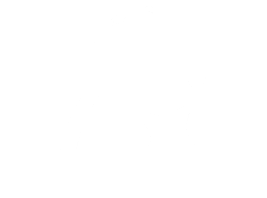 nav-logo