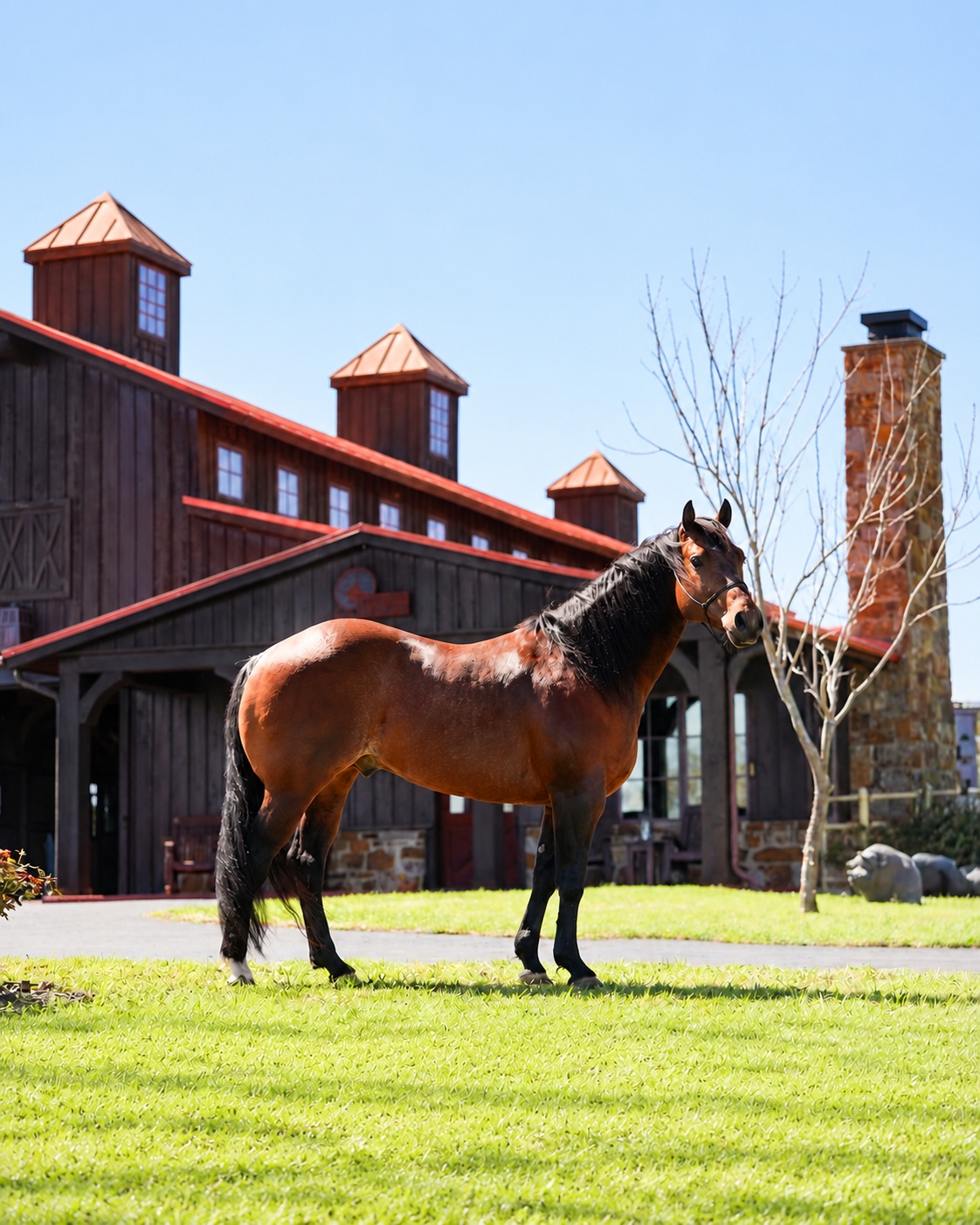 One Time Grace outside the barn