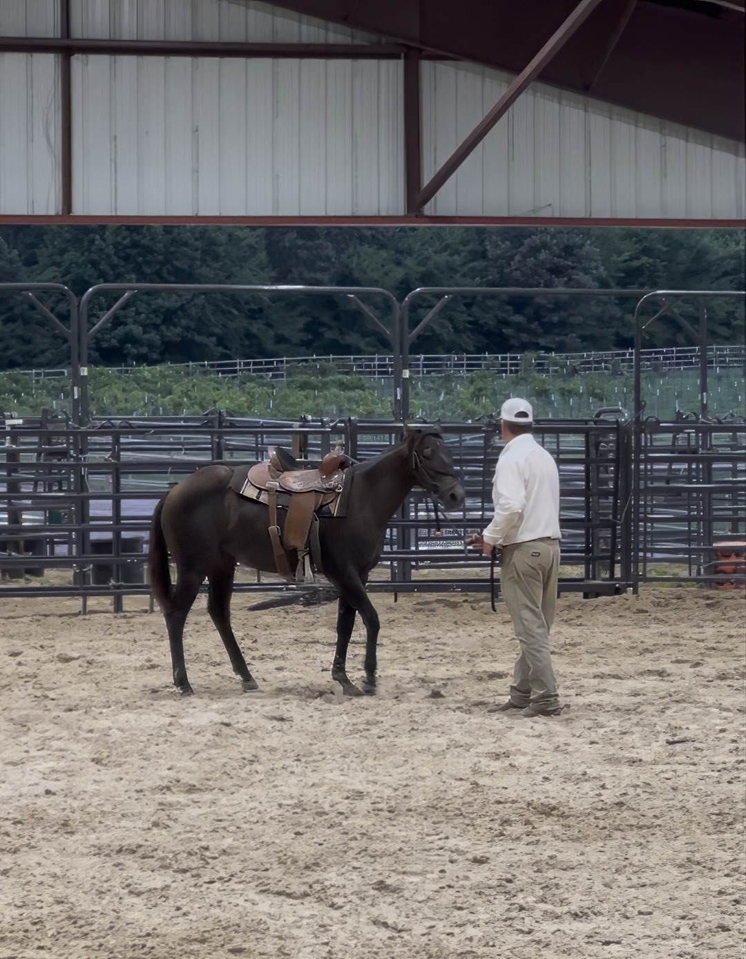 Bar C Lotza Grace working in the arena