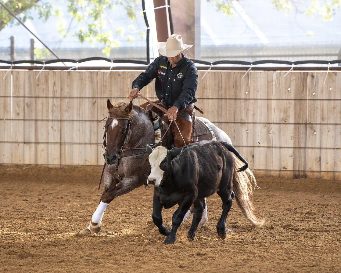 Daniel Oliveira riding Siouxped Up Cat while working a cow