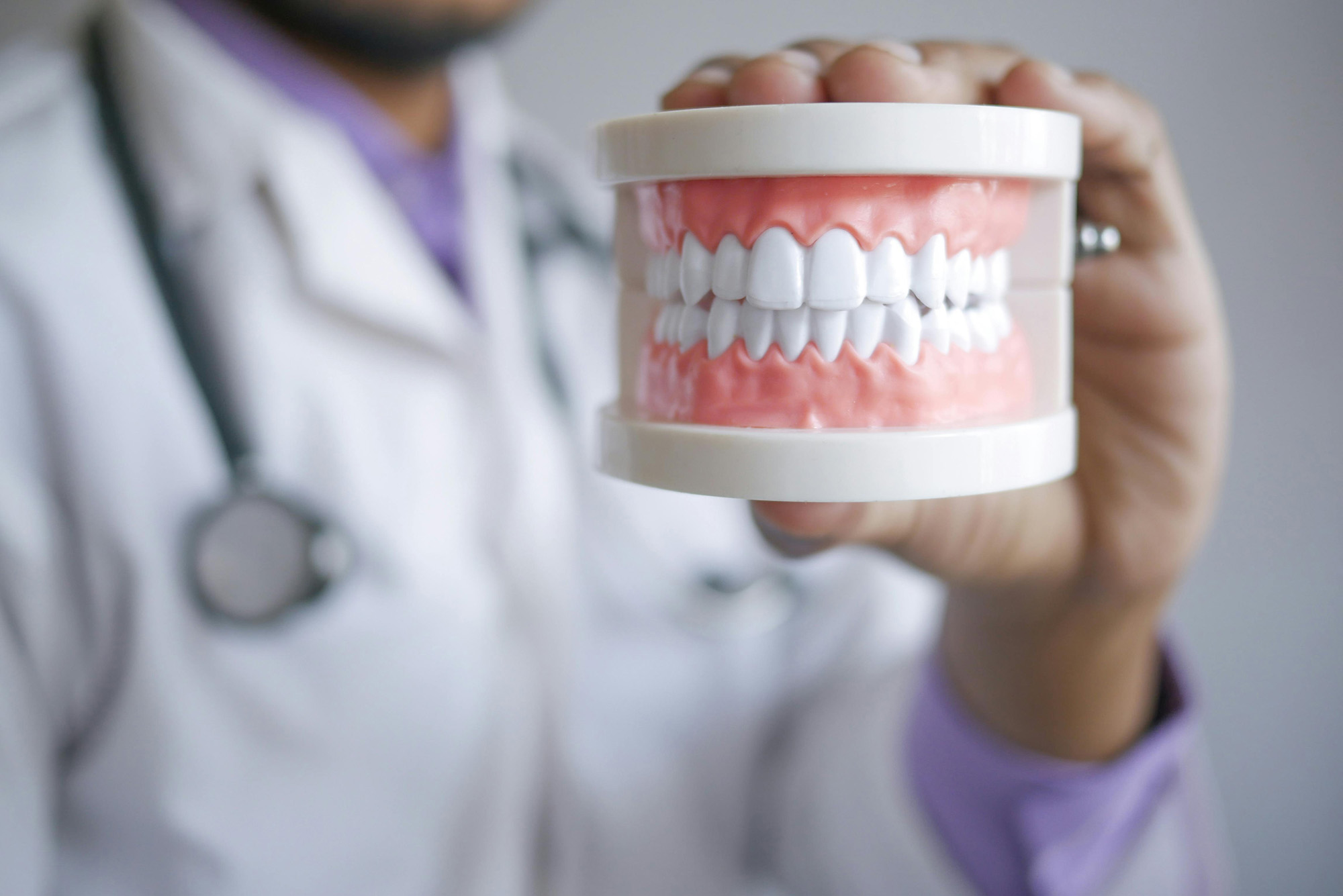 Dentist holding a model of upper and lower teeth