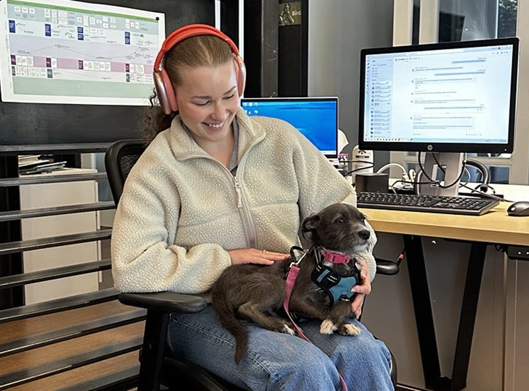 A young woman with curly hair wearing pink headphones and a beige fleece jacket is smiling while sitting in an office chair with a small black and white dog in a pink collar and blue harness on her lap, with two computer monitors and a keyboard on a desk behind her.