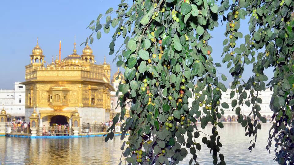 Dukh Bhanjani Beri