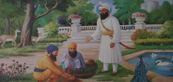 The Nature Loving Guru
