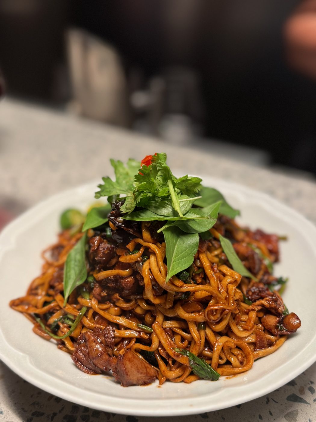 Egg Noodles tossed in sambal with black fungus and pork, piled high under a haystack of Thai basil and coriander