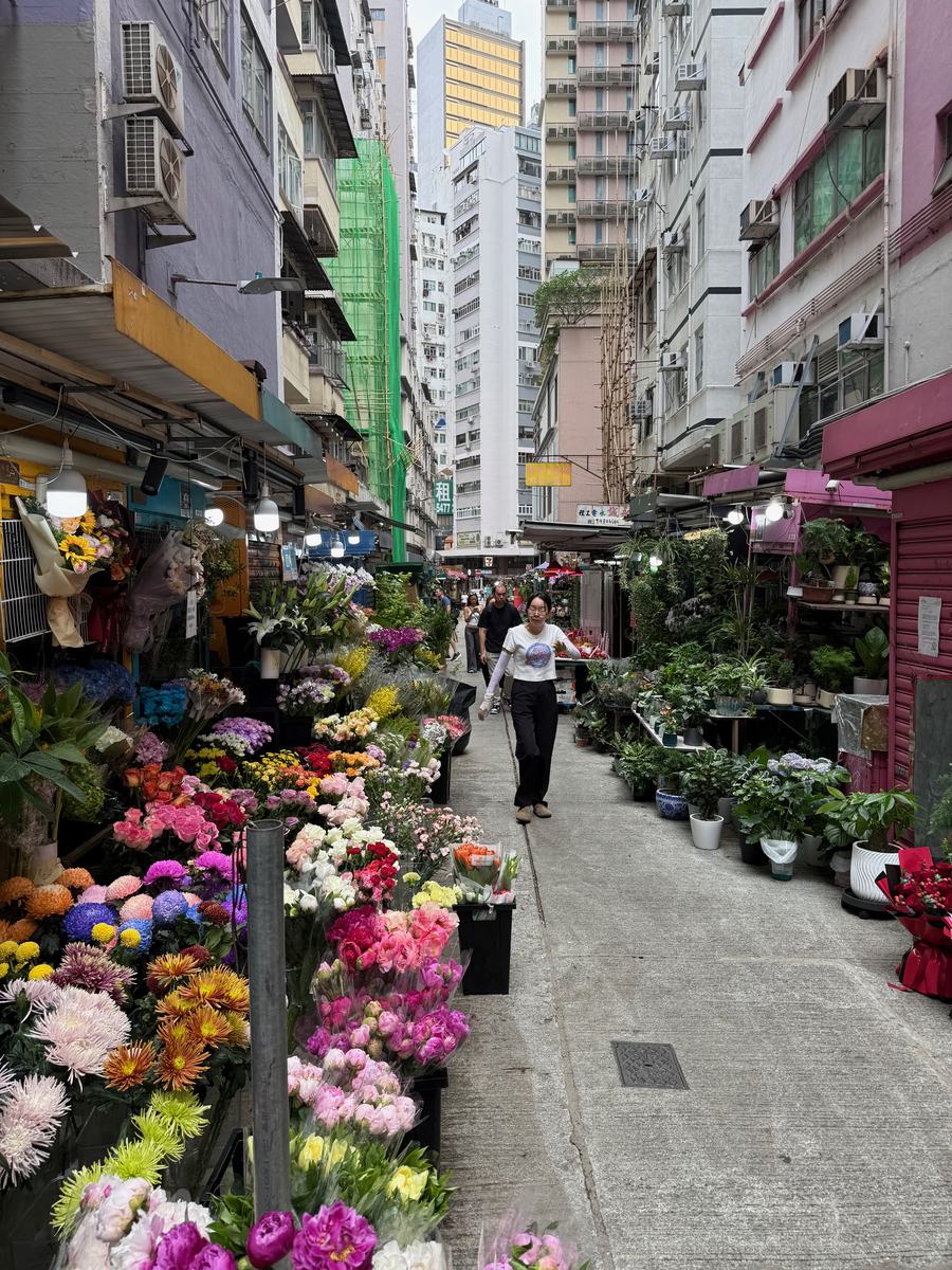 A narrow Hong Kong lane lined with flower stalls, buckets of chrysanthemums and roses on one side and potted plants on the other