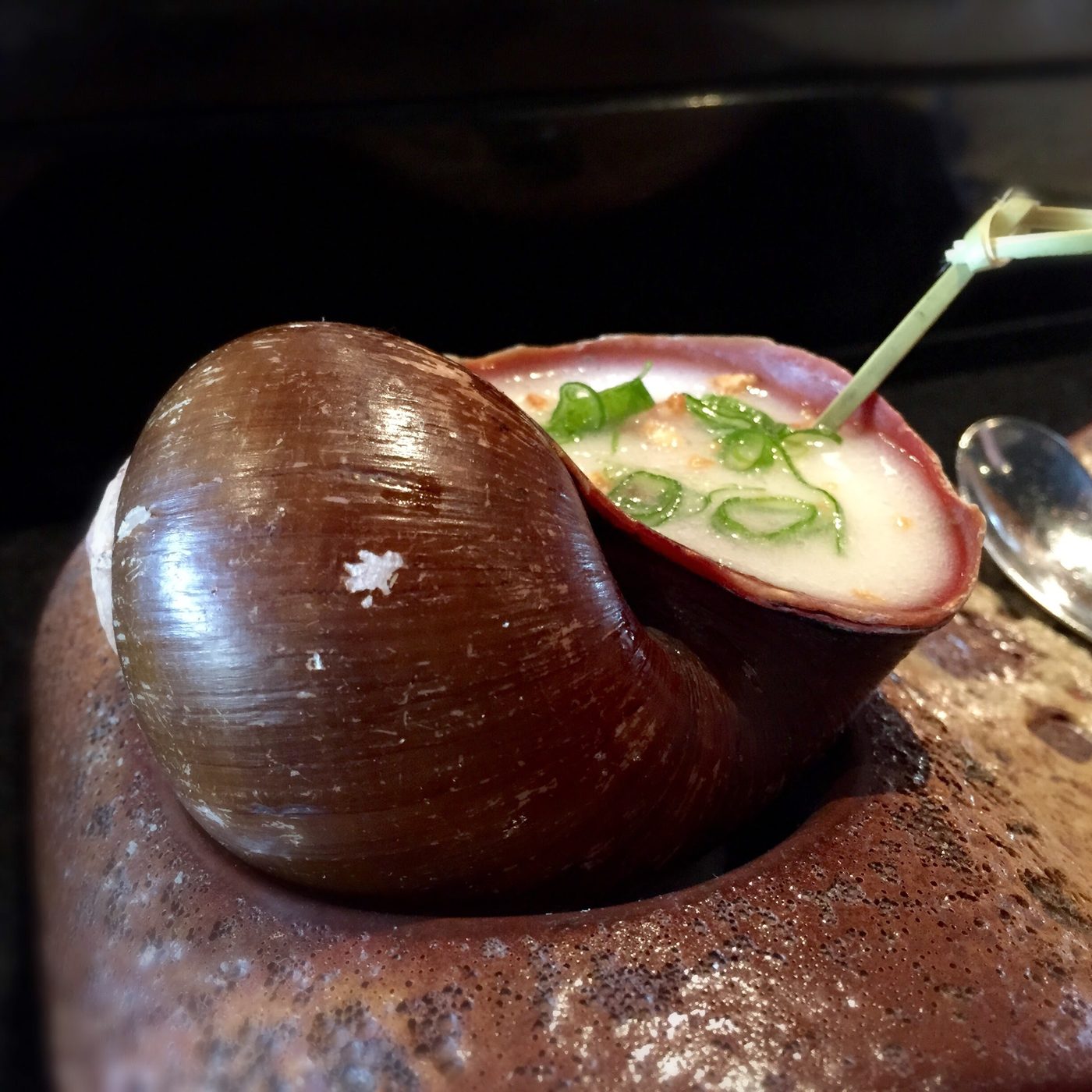 An Amazonian river snail served in its own shell in a creamy broth with scallion and a bamboo pick.