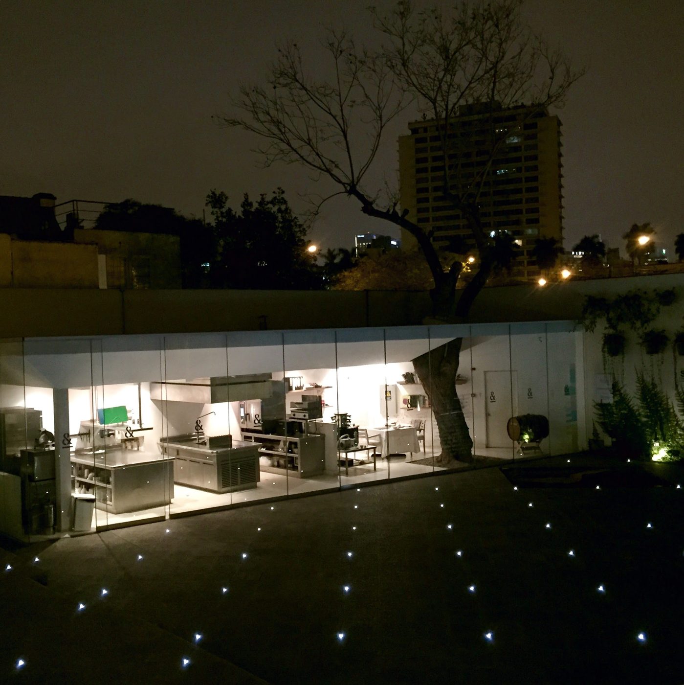 A glass-walled research kitchen lit up at night across a dark lawn, a tree growing through its roof and points of light set into the paving.