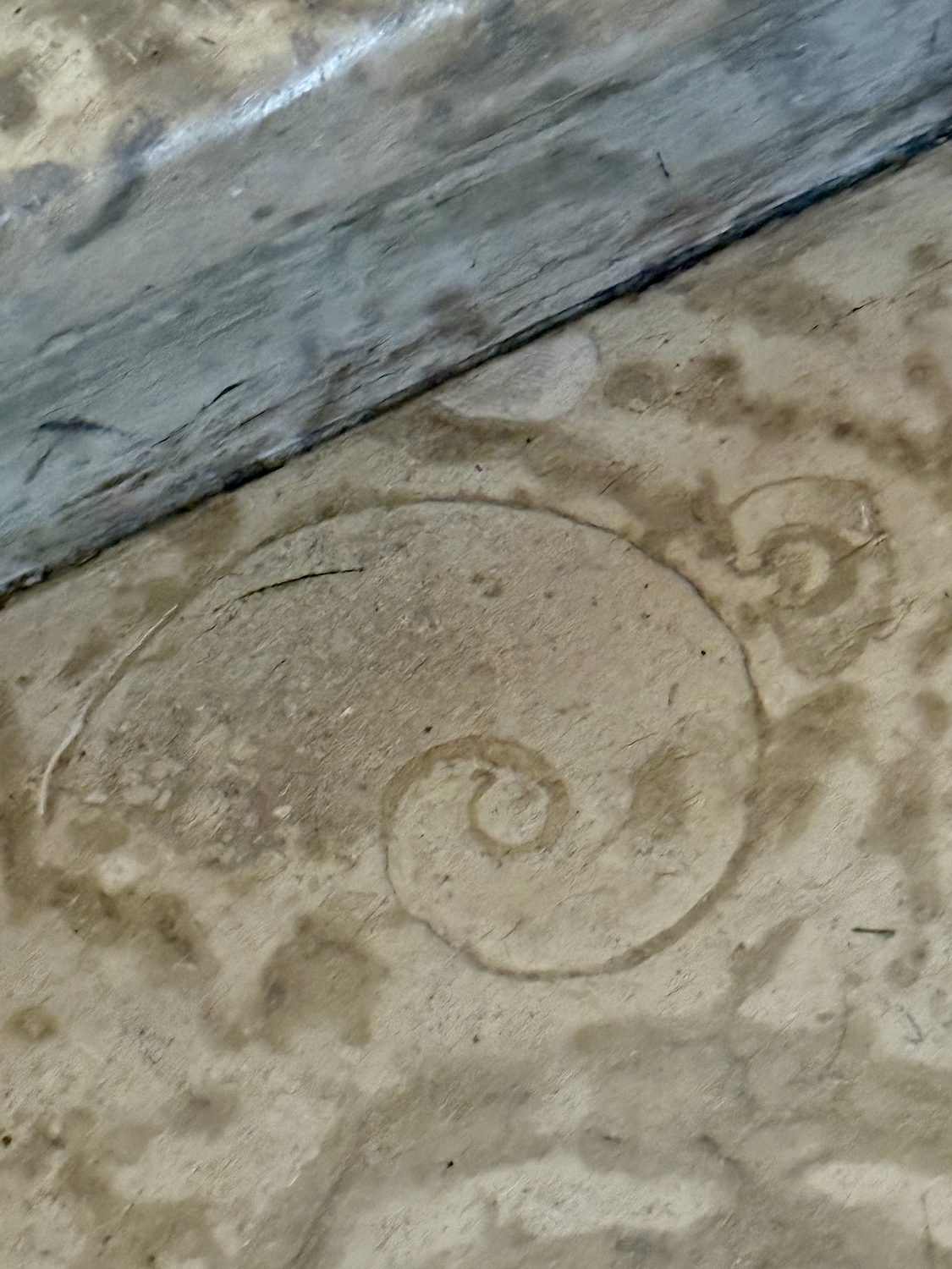 A coiled fossil shell set into a stone stair tread, with a smaller coil beside it