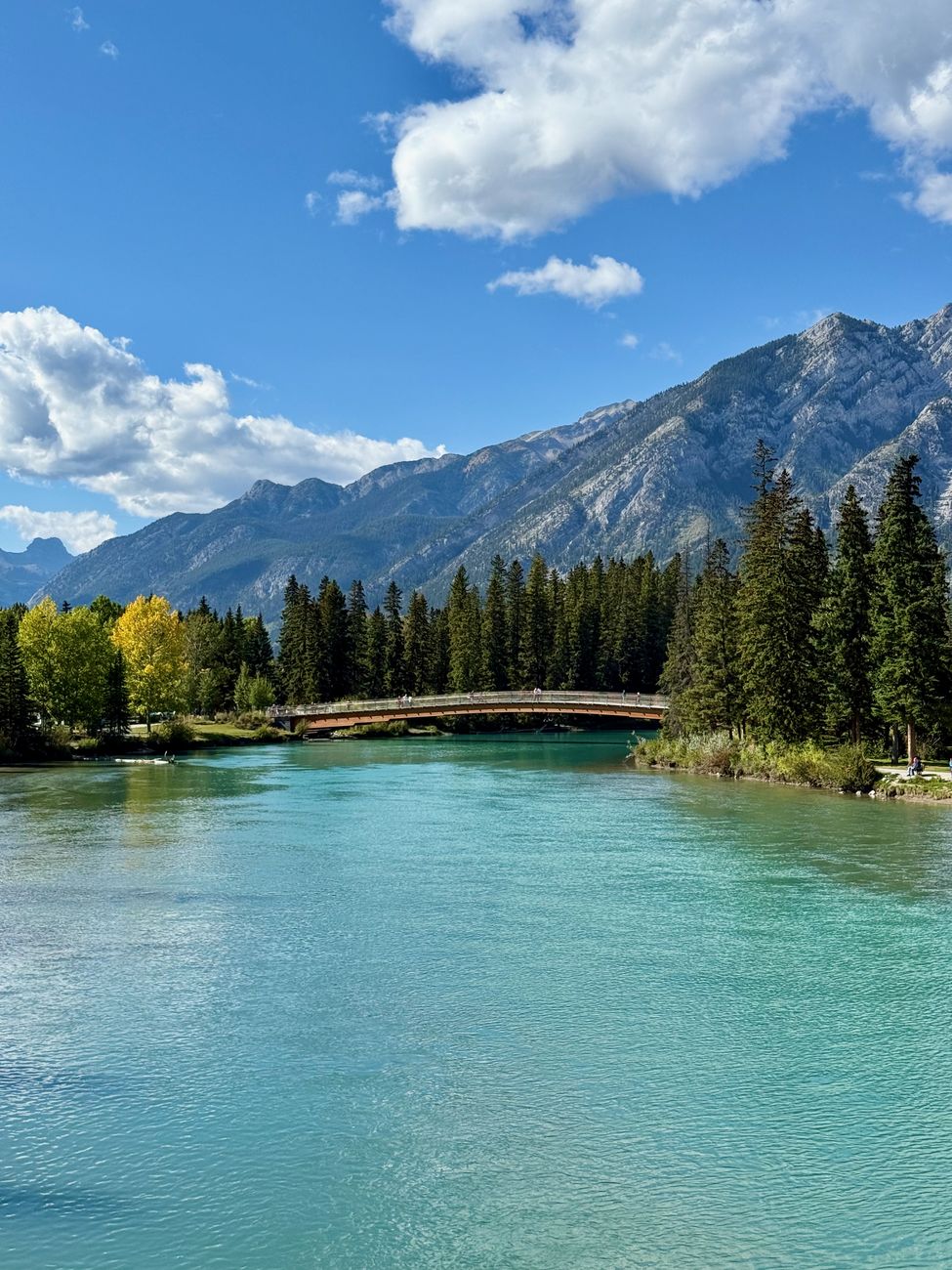 The turquoise Bow River with a pedestrian bridge crossing it and golden aspens along the bank