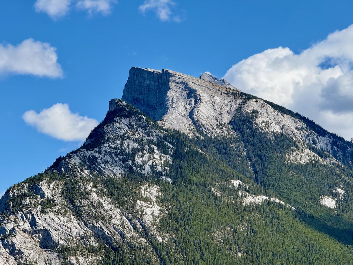 The blunt, cliff-topped summit of Mount Rundle rising above forested slopes
