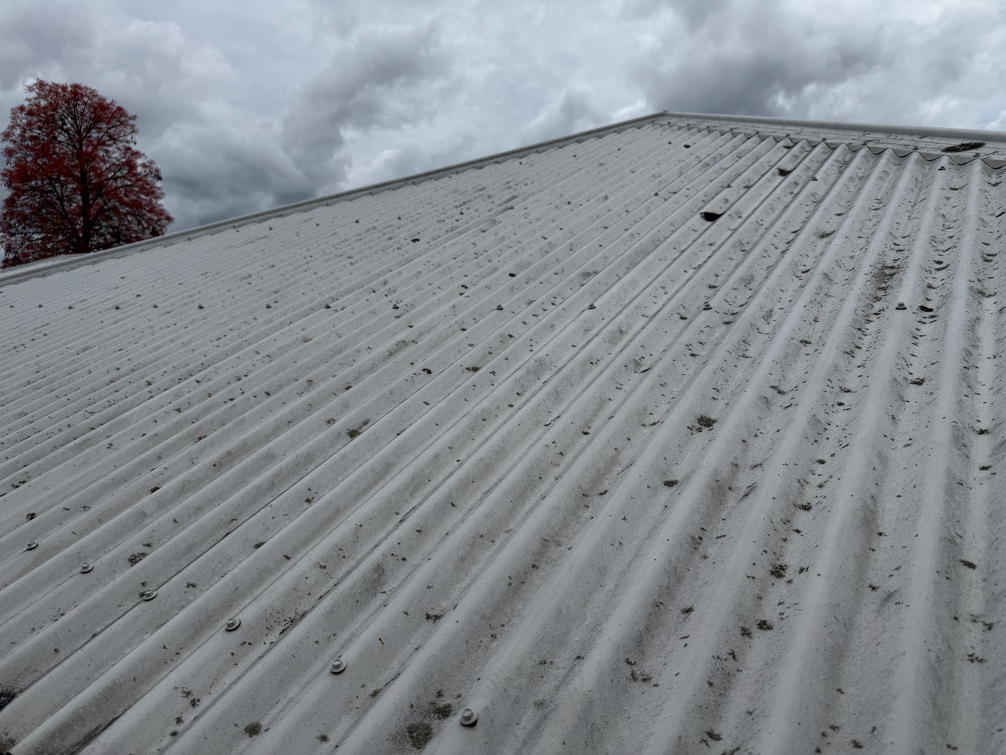 Close-up of a metal roof carrying moss, lichen and debris before cleaning