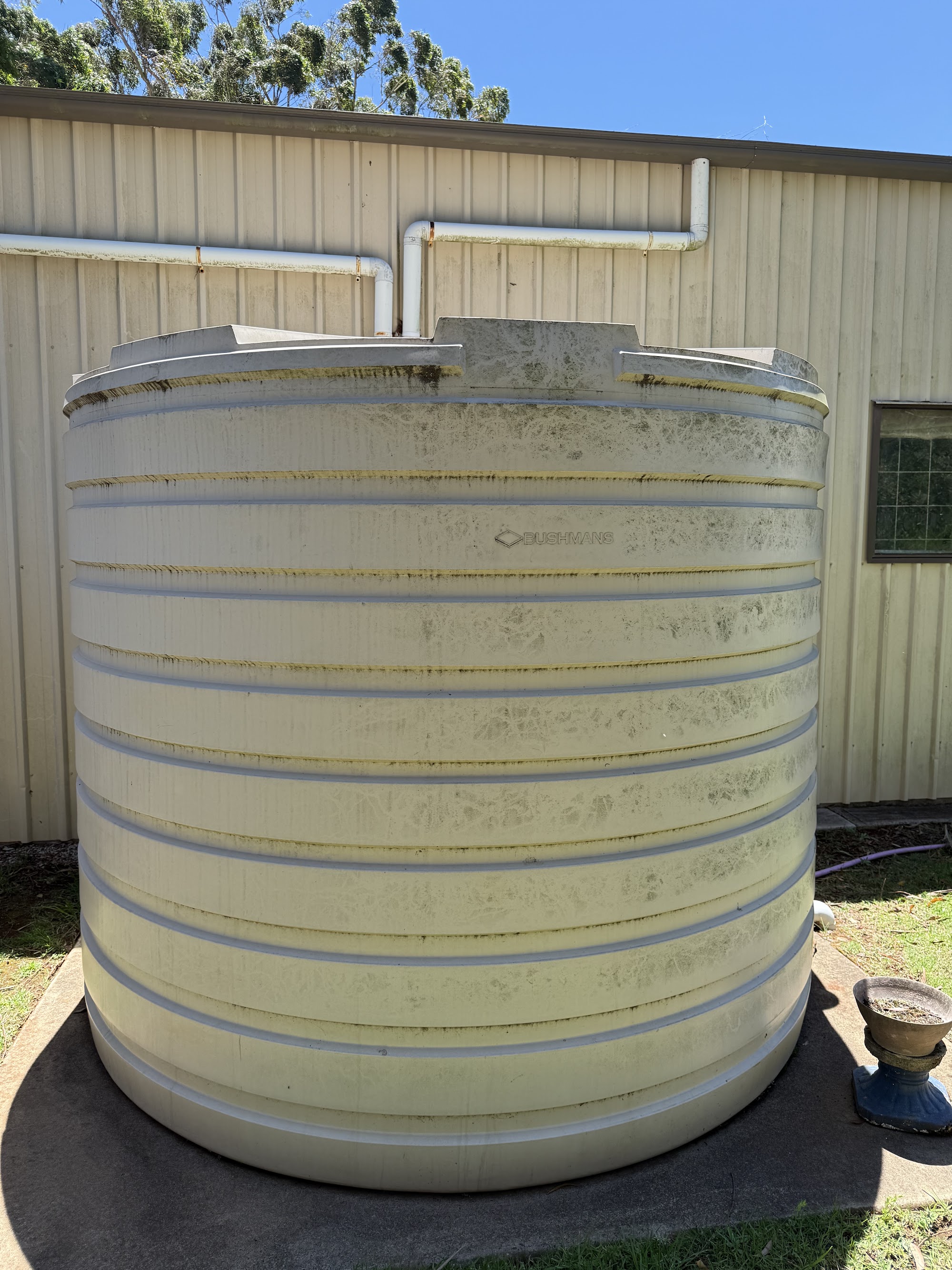 Poly rainwater tank heavily streaked with algae and mould before cleaning