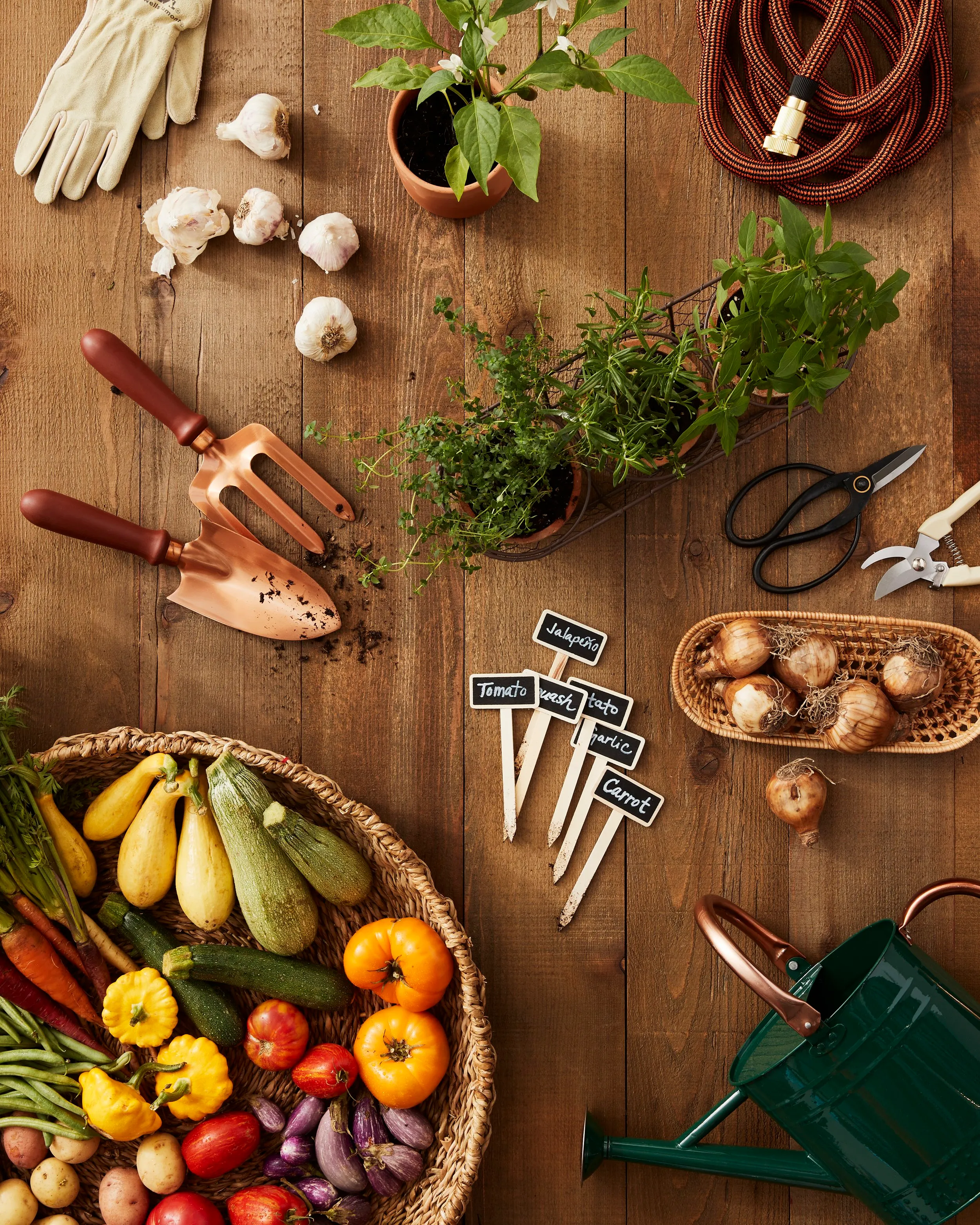 Amazon Home fall gardening essentials