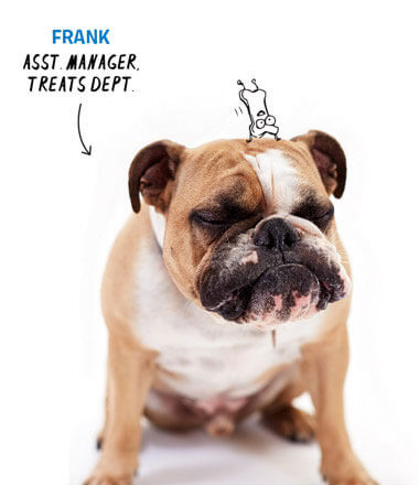 Floyd, Squeaker in Chief at Dorby's Doghouse in Newnan, GA