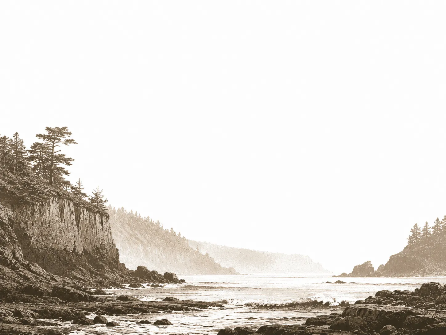 Gravure sépia : une falaise boisée domine une baie, littoral rocheux au premier plan.