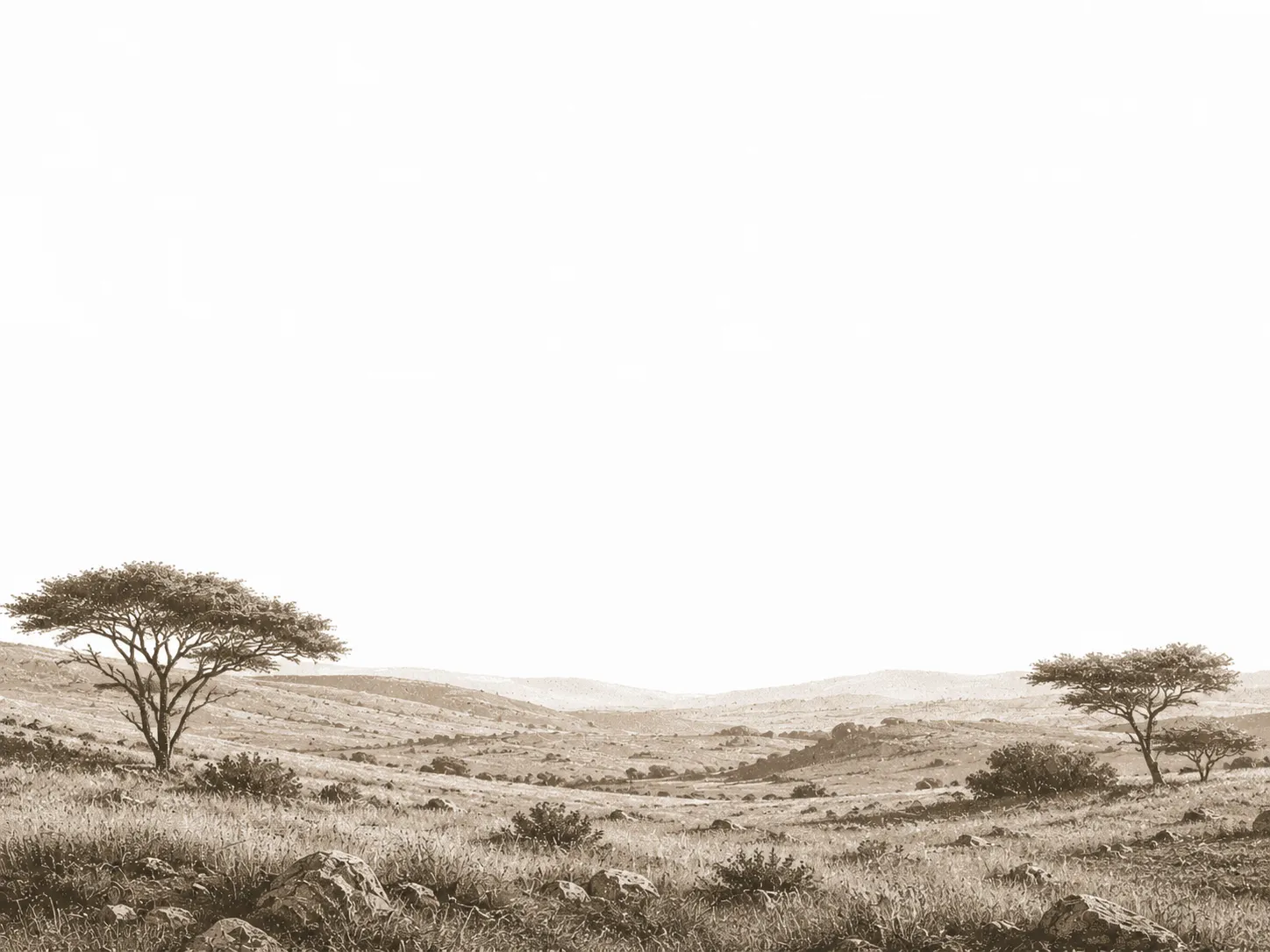 Gravure sépia : une plaine herbeuse parsemée d’acacias isolés, collines basses à l’horizon.