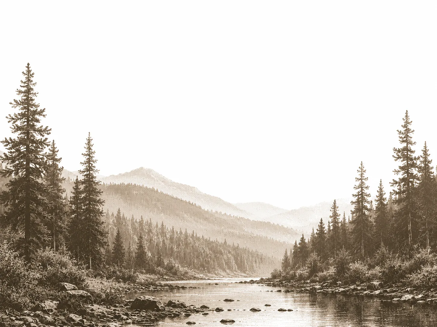 Gravure sépia : une rivière traverse une forêt de conifères, montagnes boisées à l’arrière-plan.