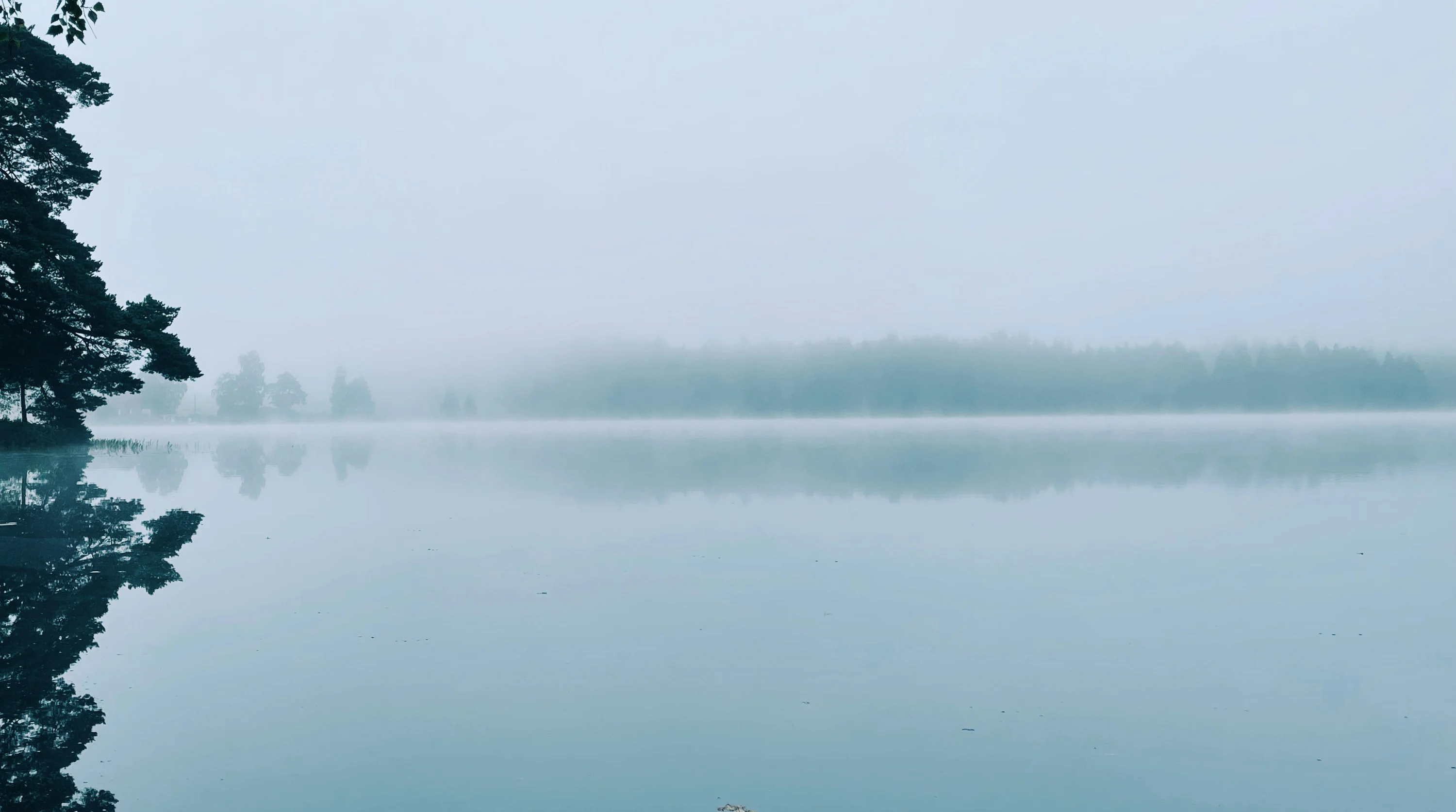 A still lake under morning mist at Alingsås in western Sweden, pines at the near shore and a far treeline dissolving into fog