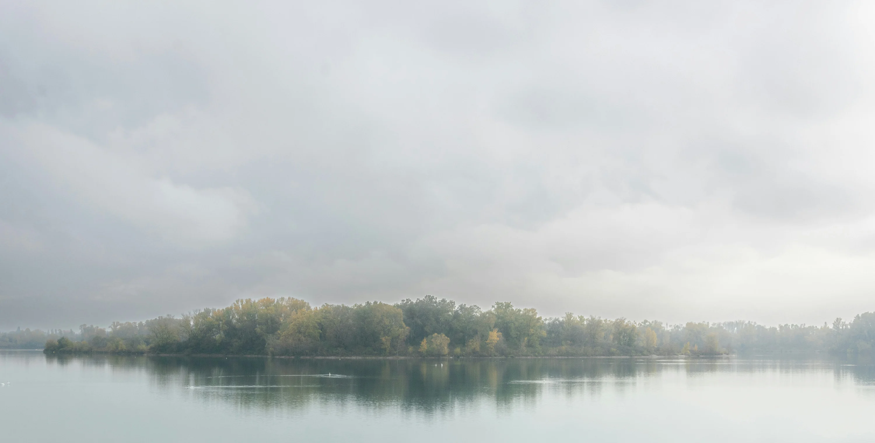 A calm lake under soft cloud, with a low wooded island reflected in still water