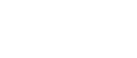 abilityaudit.ai company logo