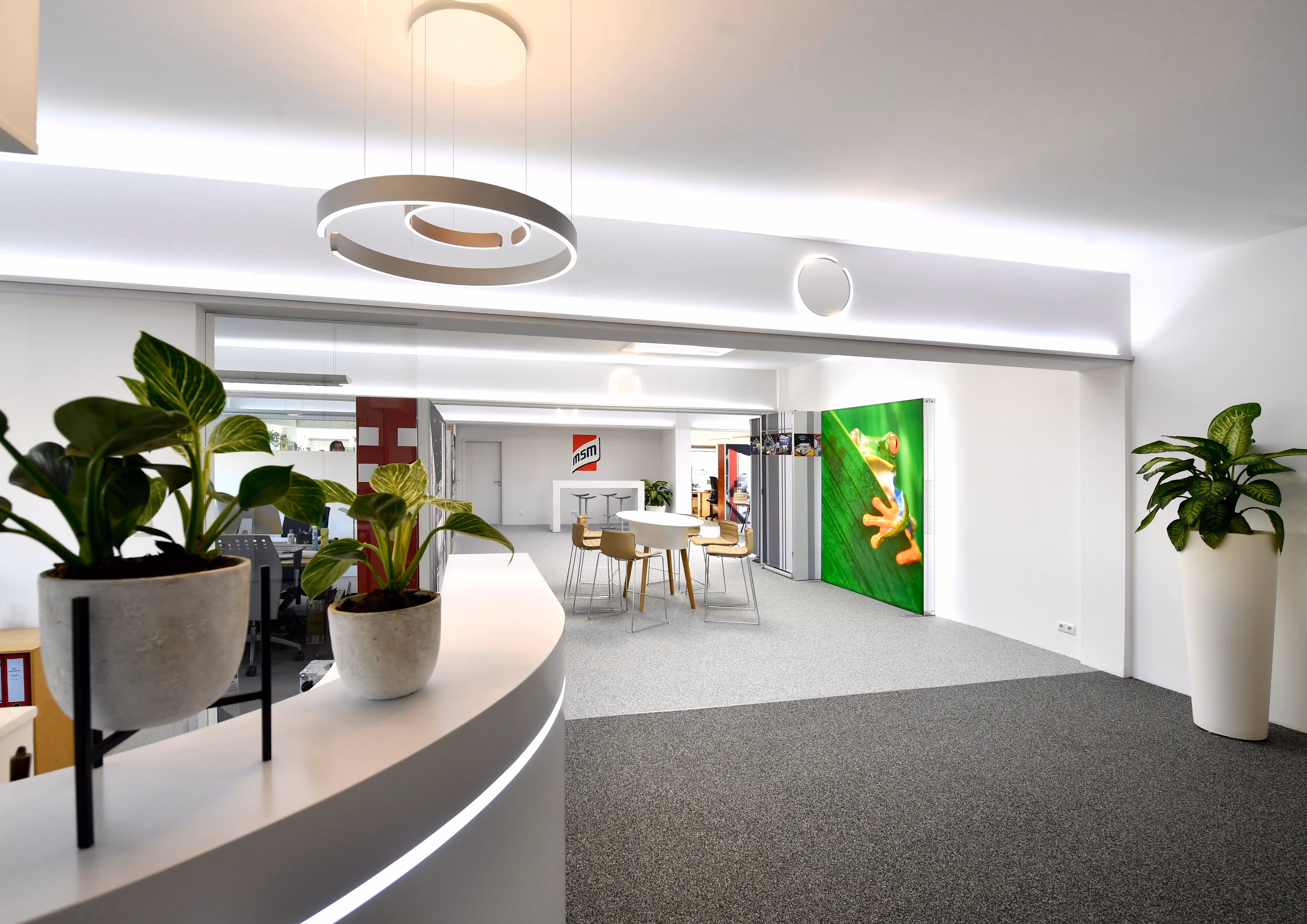 Modernes Büro mit Tischen, Stühlen, Pflanzen und leuchtendem Froschbild an der Wand.