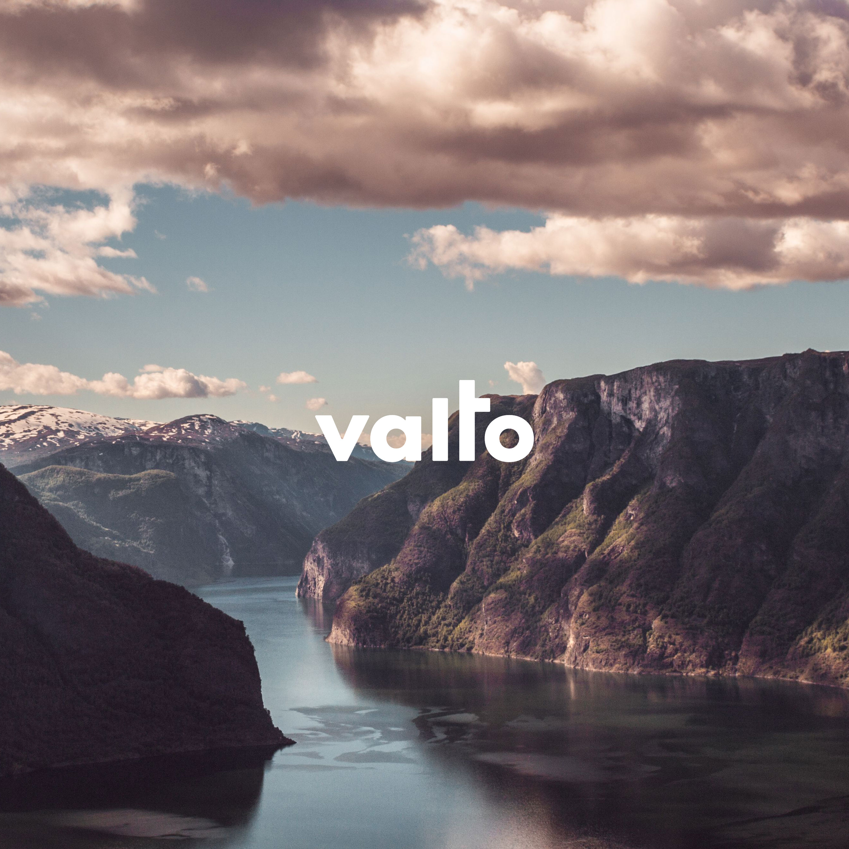 Centered on simplicity and trust, we created an interactive web experience that reflects strength, innovation, and utility.