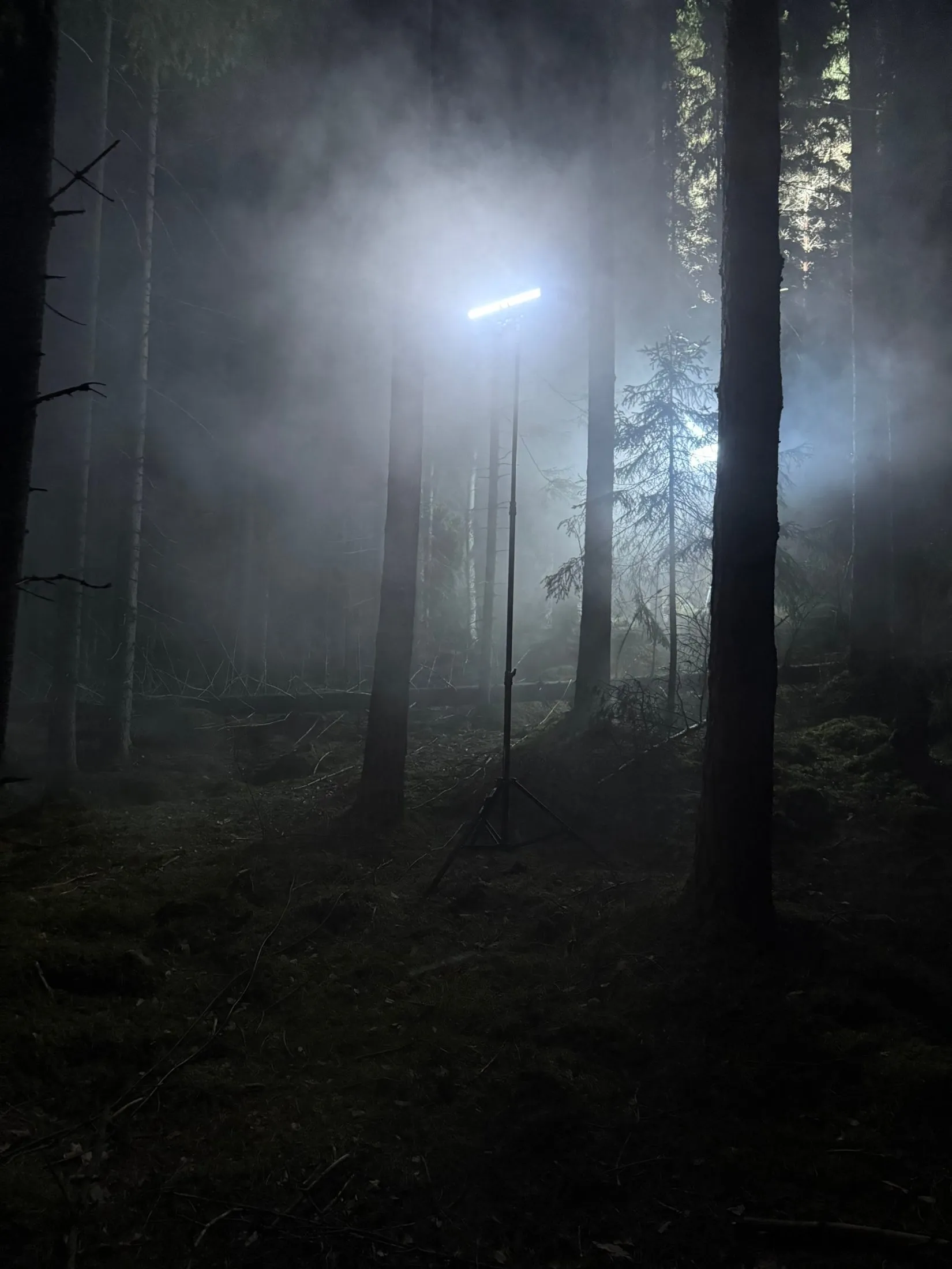 A film light illuminating a misty forest at dusk.