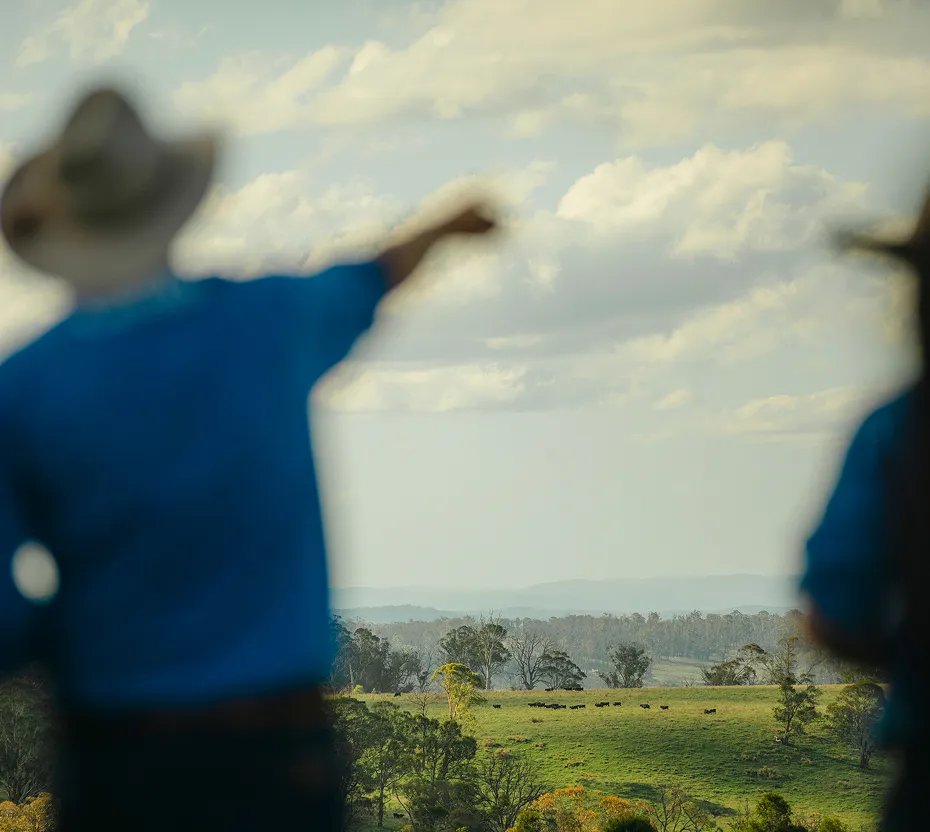 Two people in blue shirts and hats looking at a green pasture with scattered trees and a herd of cattle under a cloudy sky.
