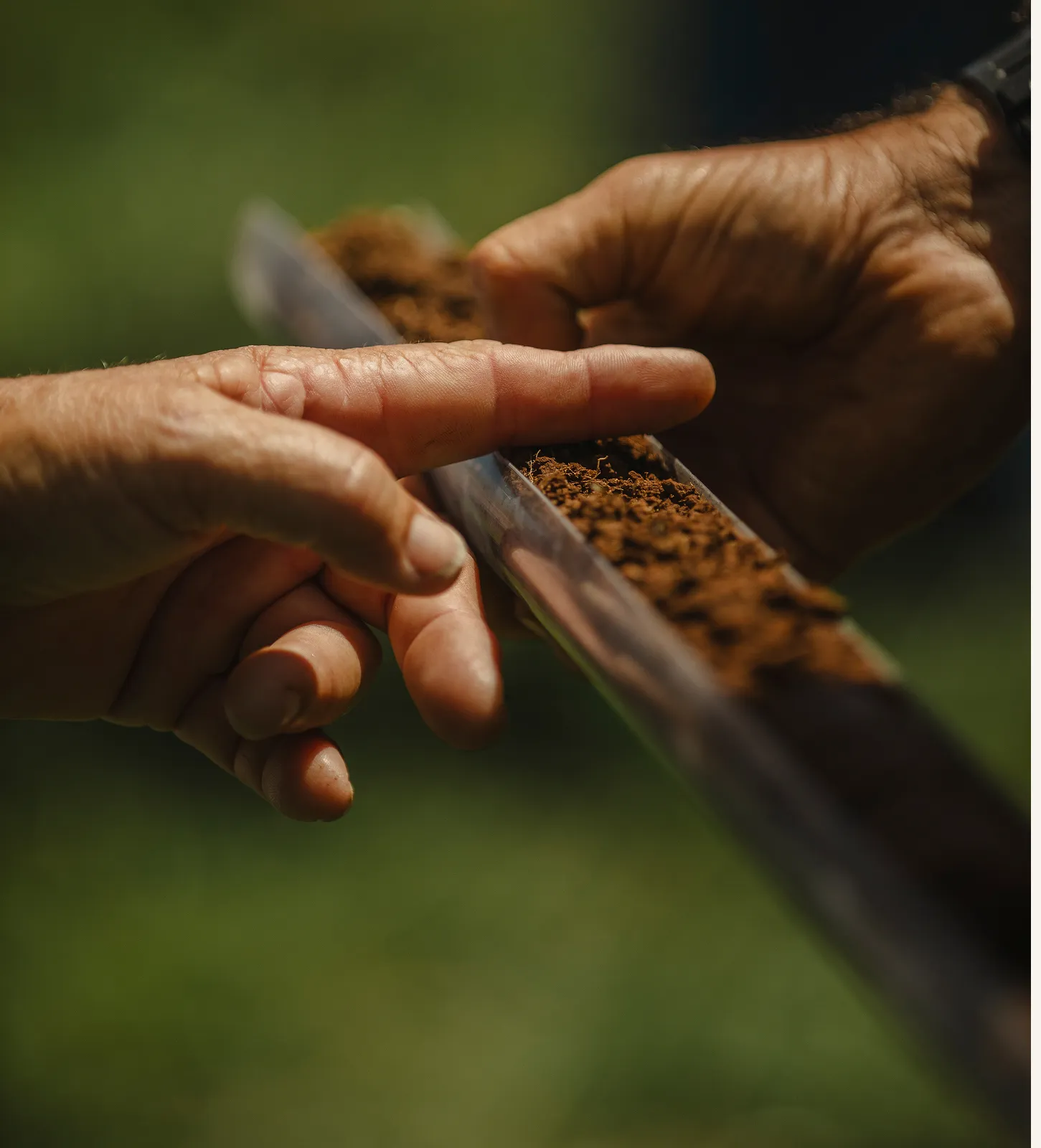Two hands examining soil in a clear container outdoors, with one hand pointing at the soil and the other holding the container against a blurred green background.