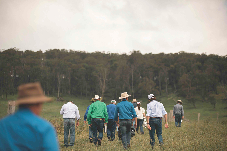 Group of people wearing hats and casual clothing walking away through a grassy field toward a distant forested area under an overcast sky.