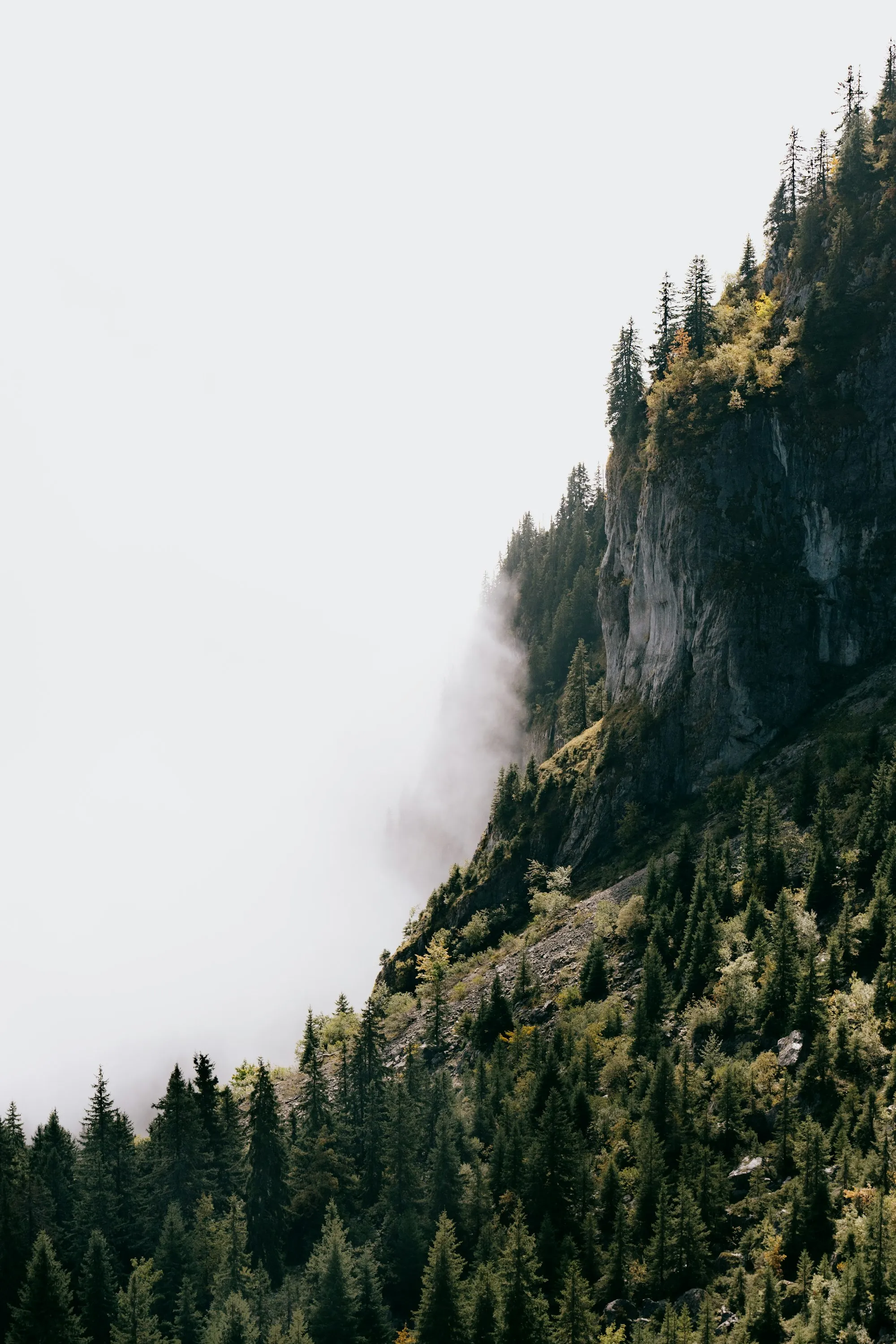 Ambiance chaleureuse — photo temporaire, à remplacer