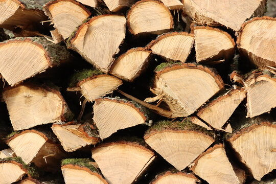 Chauffage au bois : une solution durable ou un danger pour nos forêts ?