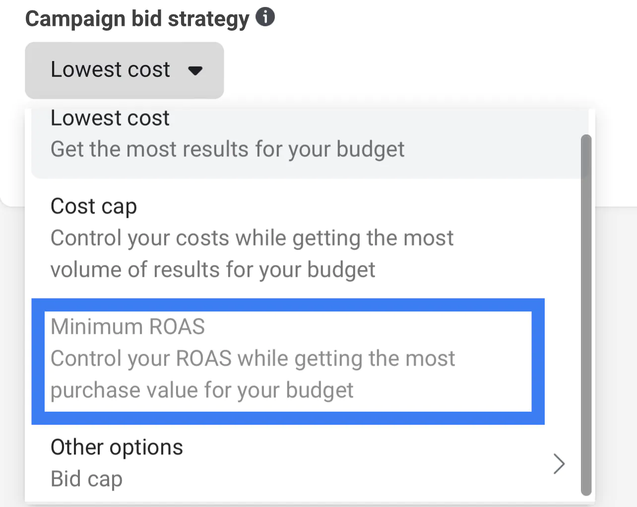 set your Minimum ROAS Control