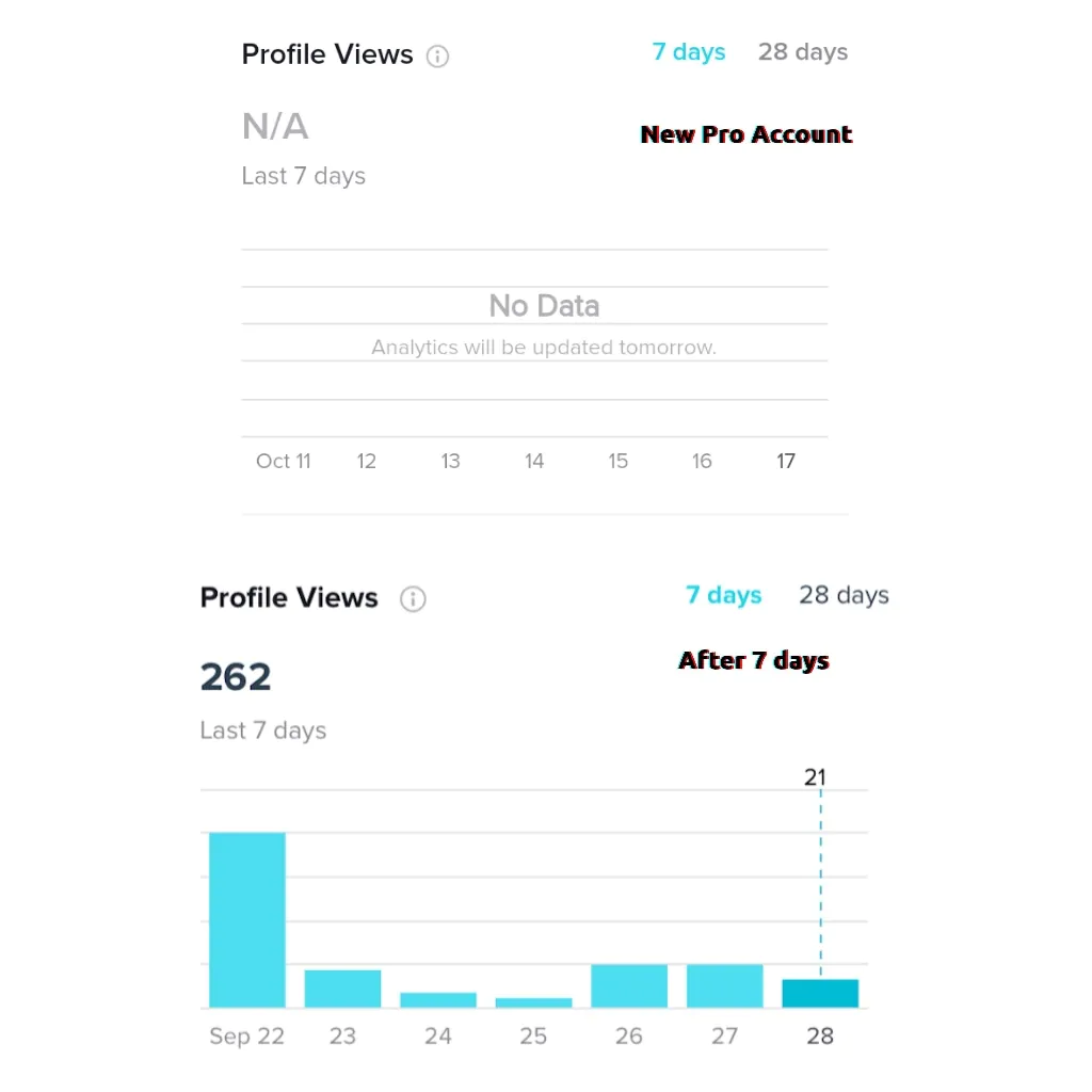Profile Views