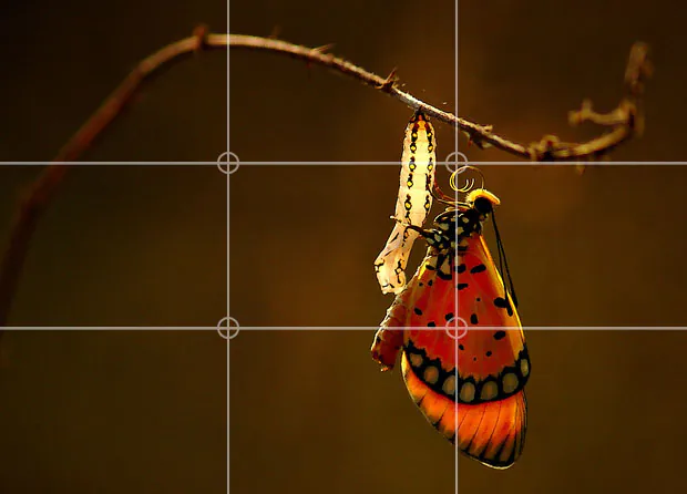 Abide by the rule of thirds