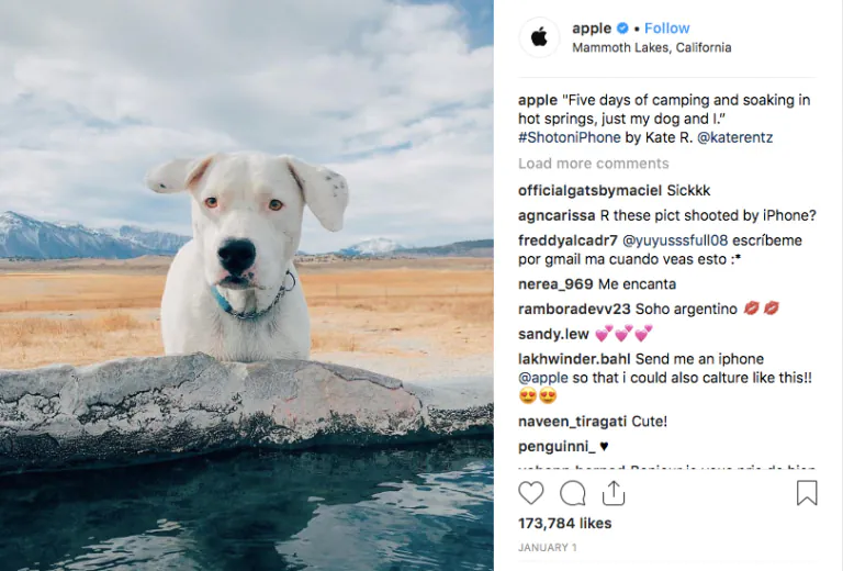 Post user-generated content