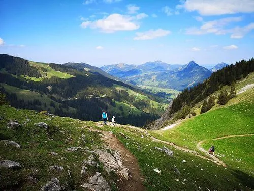 Sommer Aktiv