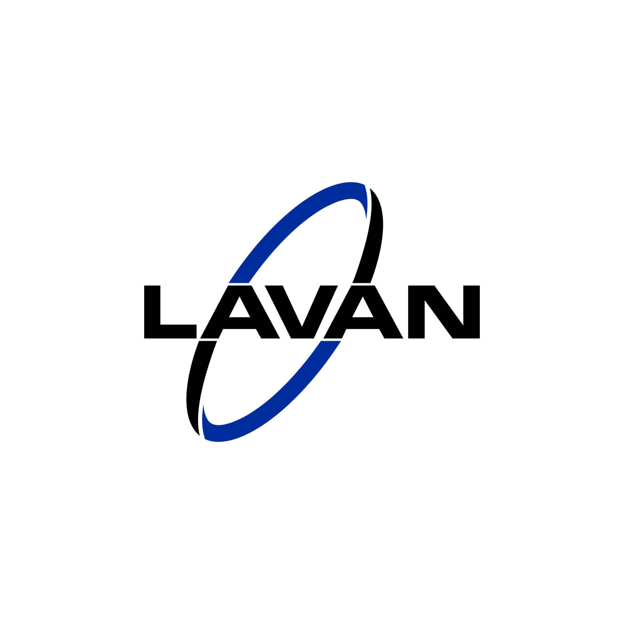 LAVAN Systems logo