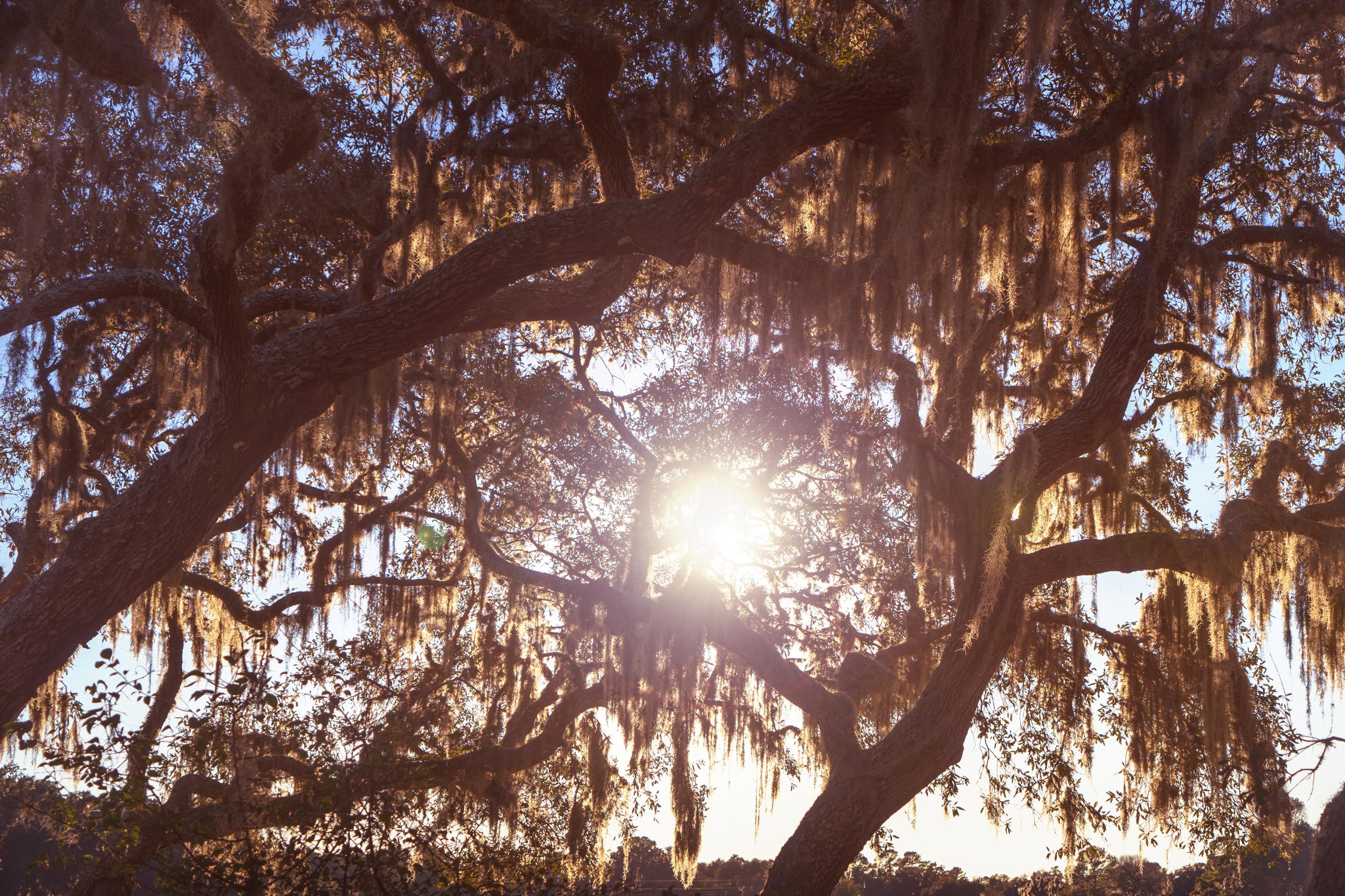 Pooler, GA stock image