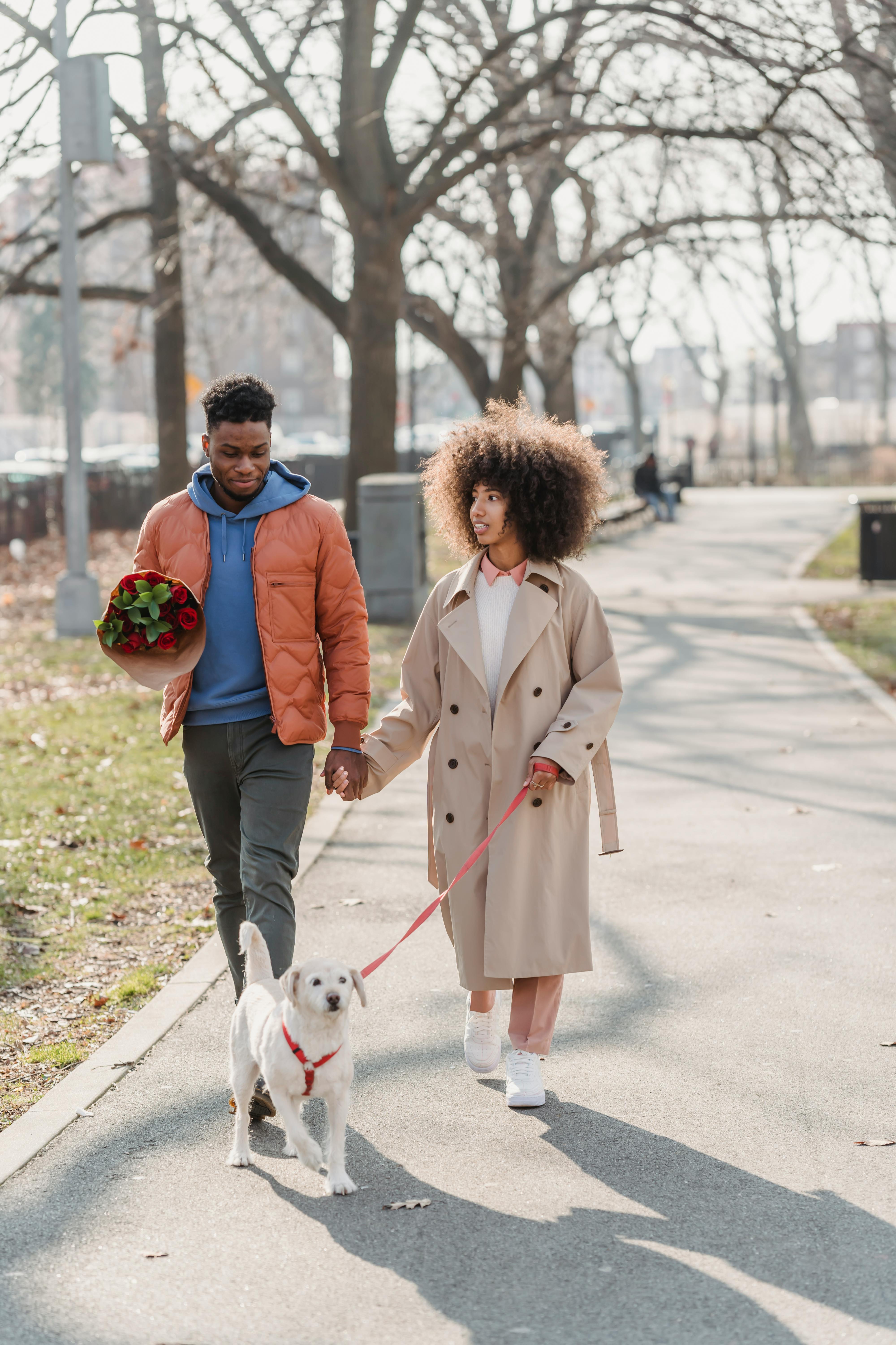 Couple walking dog stock image